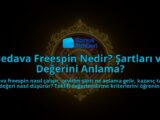 Bedava-Freespin-Nedir-Sartlari-ve-Degerini-Anlama-overlay-1788110036.jpg